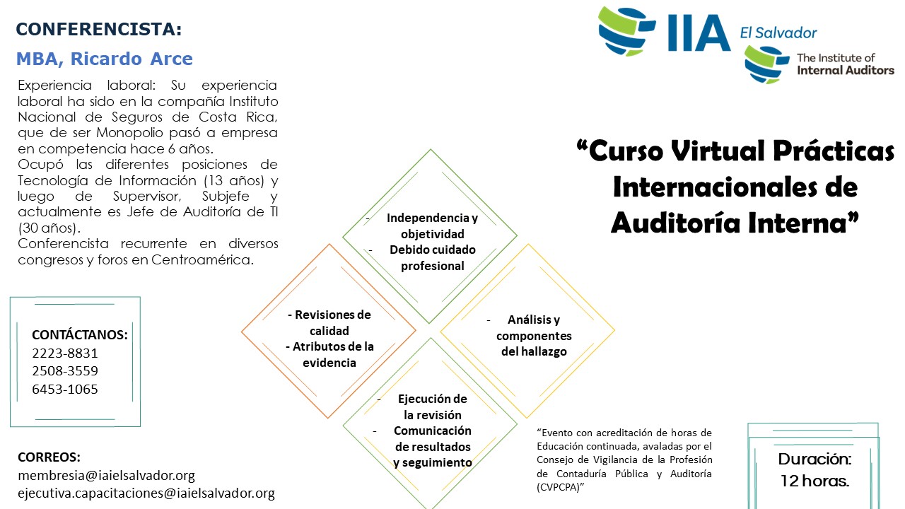 Practicas Internacionales de Auditoría Interna